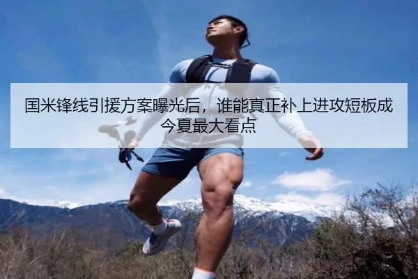 国米锋线引援方案曝光后，谁能真正补上进攻短板成今夏最大看点（ngsports）